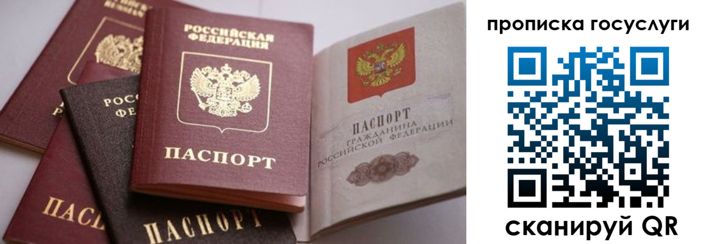 прописка иностранных граждан в Вологде