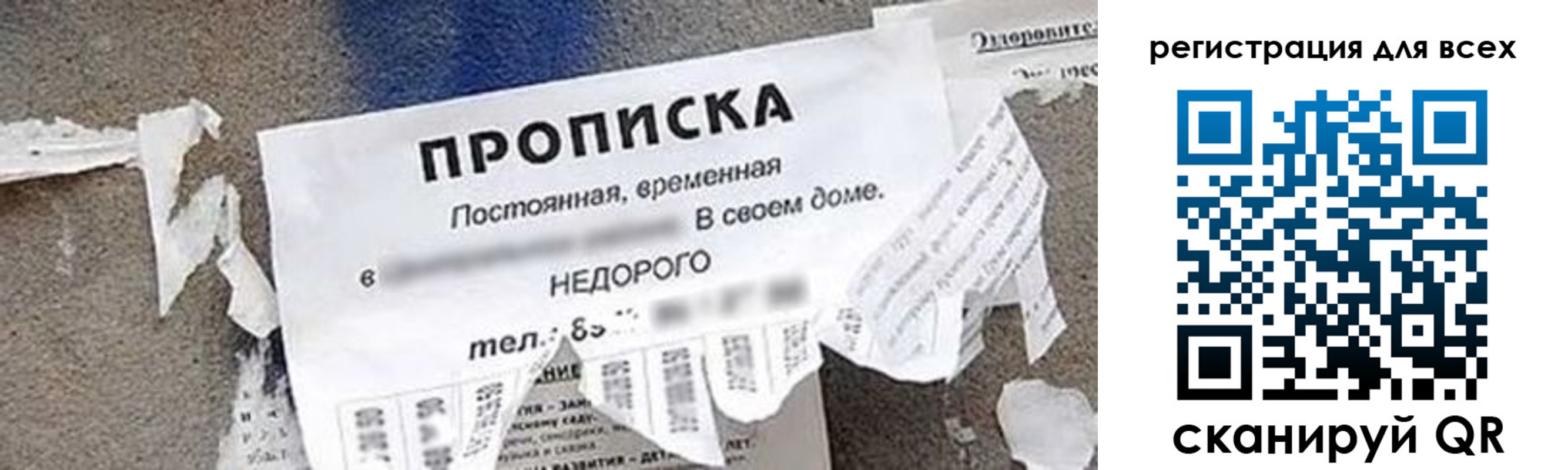 прописка поиск в Вологде